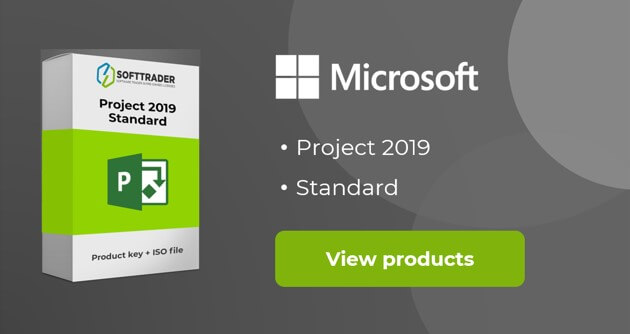 project 2019 standard buy